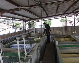 東莞工業(yè)廢水處理公司,重慶電鍍污水處理工程價格及規(guī)格型號